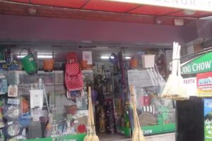 Albi&ntilde;ana Limpieza