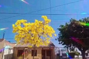 Almacén de Perfumes