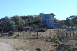 AROMAHERBA Lavanda y Perfumes