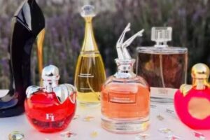 𝔹𝔸𝔾𝕌𝔼𝕊 ғʀᴀɢᴀɴᴄɪᴀs ɪɴᴛᴇʀɴᴀᴄɪᴏɴᴀʟᴇs