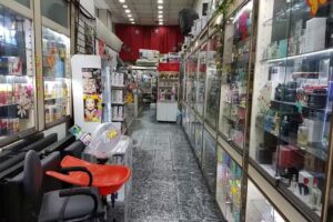 Distribuidora del Sur