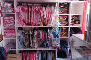 ELEFANTE BLANCO Y MOMENTO NATURA