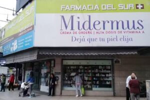 Farmacia y Perfumer&iacute;a del Sur