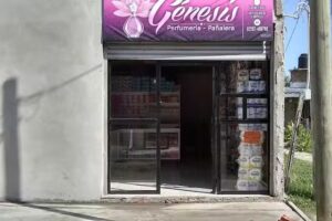 G&eacute;nesis perfumer&iacute;a pa&ntilde;alera