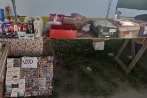 La se&ntilde;ora de las tinturas