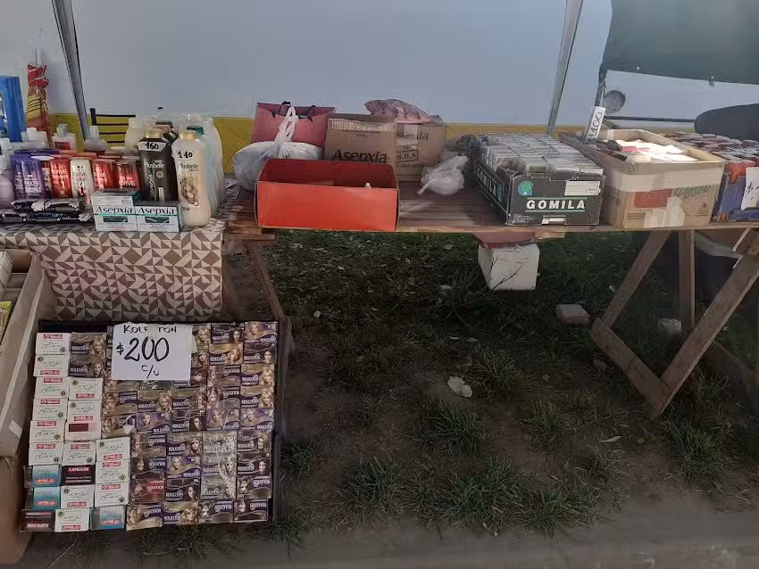 La se&ntilde;ora de las tinturas