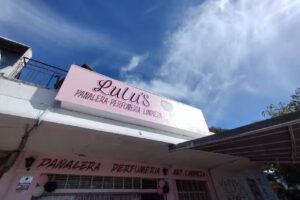 LULU&rsquo;S Pa&ntilde;alera, Perfumeria y Limpieza