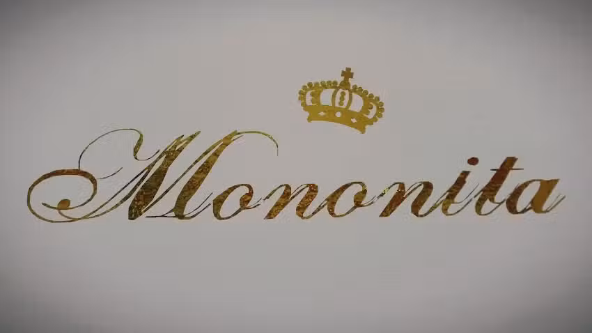 Mononita Perfumeria Y Estetica