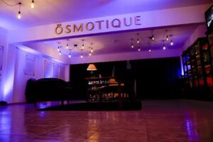 Nina Lamaison- Osmotique art Galer&iacute;a de arte Olfativo