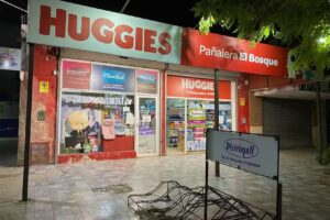 Pa&ntilde;alera El Bosque