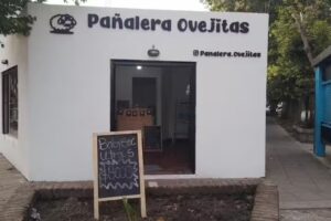 Pa&ntilde;alera Ovejitas