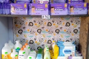 Pa&ntilde;alera Primeros Pasos