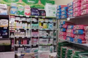 Pa&ntilde;alera Sarmiento