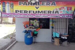 Pa&ntilde;alera y perfumeria P y I