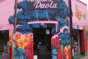 Perfumer&iacute;a Paola 17 y 72