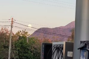 Perfumer&iacute;a Tonos