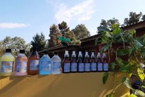 Perfuminas Brara-Mar