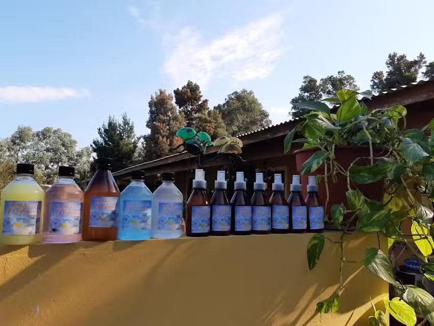 Perfuminas Brara-Mar