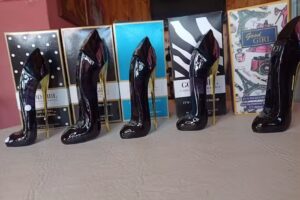 Pesta&ntilde;itas cressida