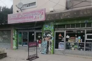 Quimica Sarmiento