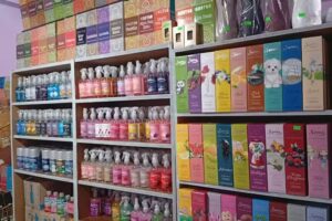 SALTA FAGANCIAS. Saphirus