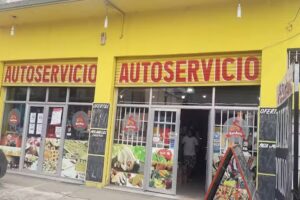 SurAvic Autoservicio