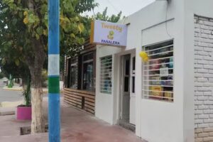 TWEETY PA&Ntilde;ALERA