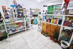 Yoly Todo Limpio &ndash; Limpieza Y Perfumer&iacute;a