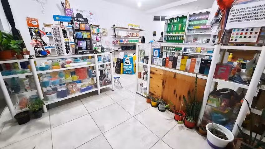 Yoly Todo Limpio &ndash; Limpieza Y Perfumer&iacute;a